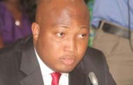 Ablakwa Makes Case For Artificial Insemination Regulation